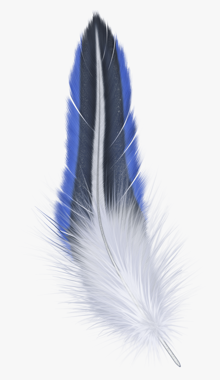 Wings, Tube, Polyvore, Embellishments, Fashion, Feathers - Transparent Background Png Format Feather Png, Transparent Clipart