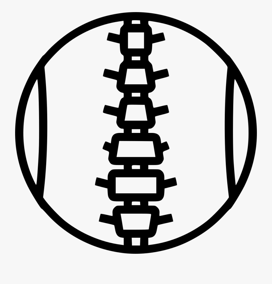 Spinal Cord Segment Png, Transparent Clipart