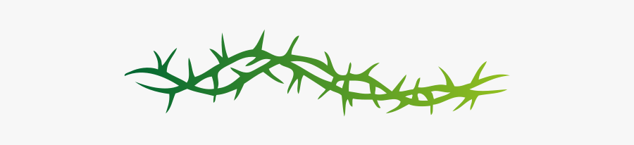 Spine - Thorns Png, Transparent Clipart