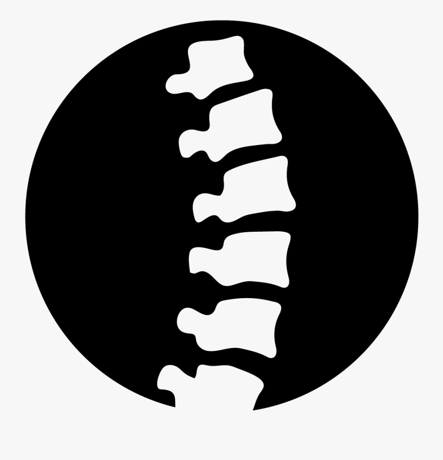 Cape Coral Fl Chiropractor - Circle, Transparent Clipart