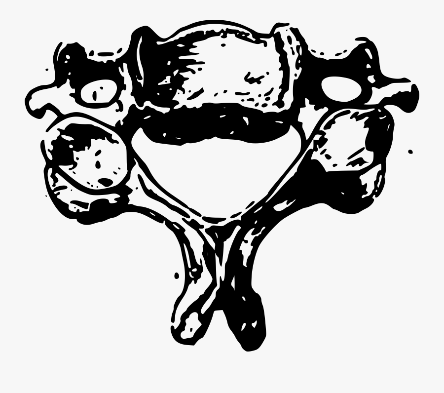 Art,monochrome Photography,carnivoran - Vertebra Clip Art, Transparent Clipart
