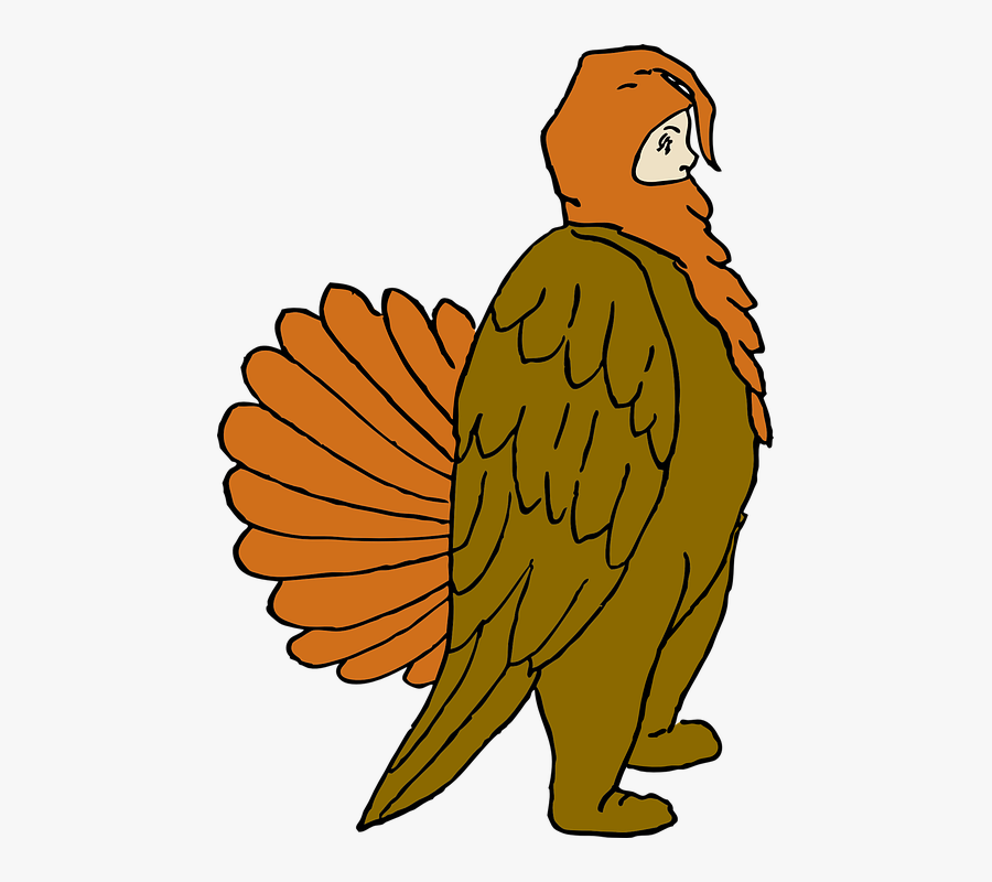 Turkey Costume Clipart, Transparent Clipart