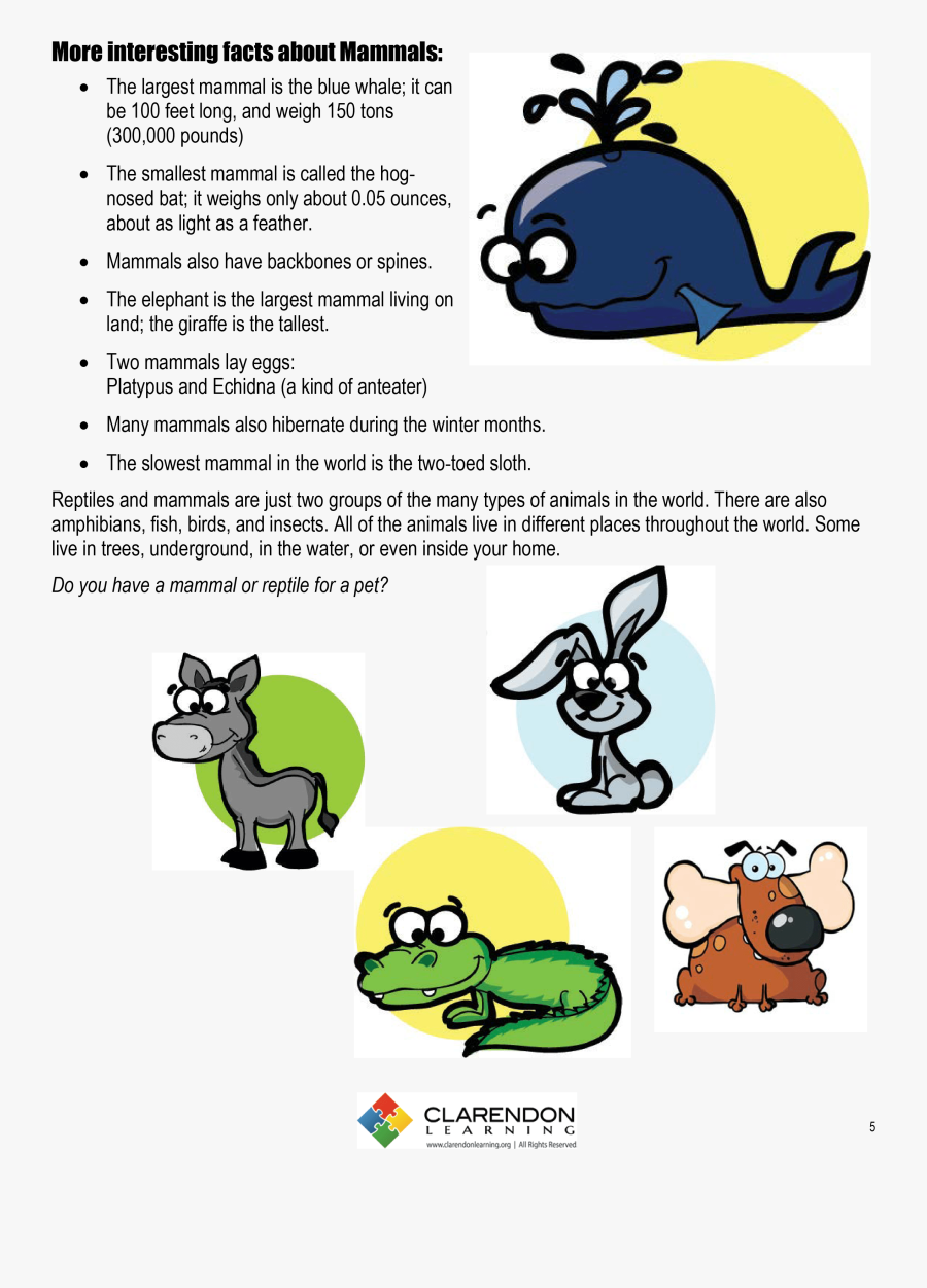 Reptiles And Mammals Lesson - Cartoon, Transparent Clipart