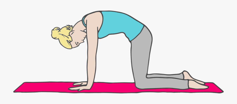 Cat Pose, Transparent Clipart