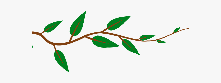 Branch Leaves Vector Png, Transparent Clipart