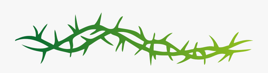 Thorns Pointed Spine Arbor Png Image - Thorns Png, Transparent Clipart