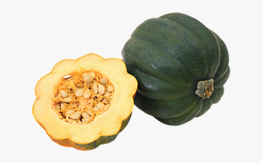 Transparent Butternut Squash Clipart - Acorn Squash Png, Transparent Clipart