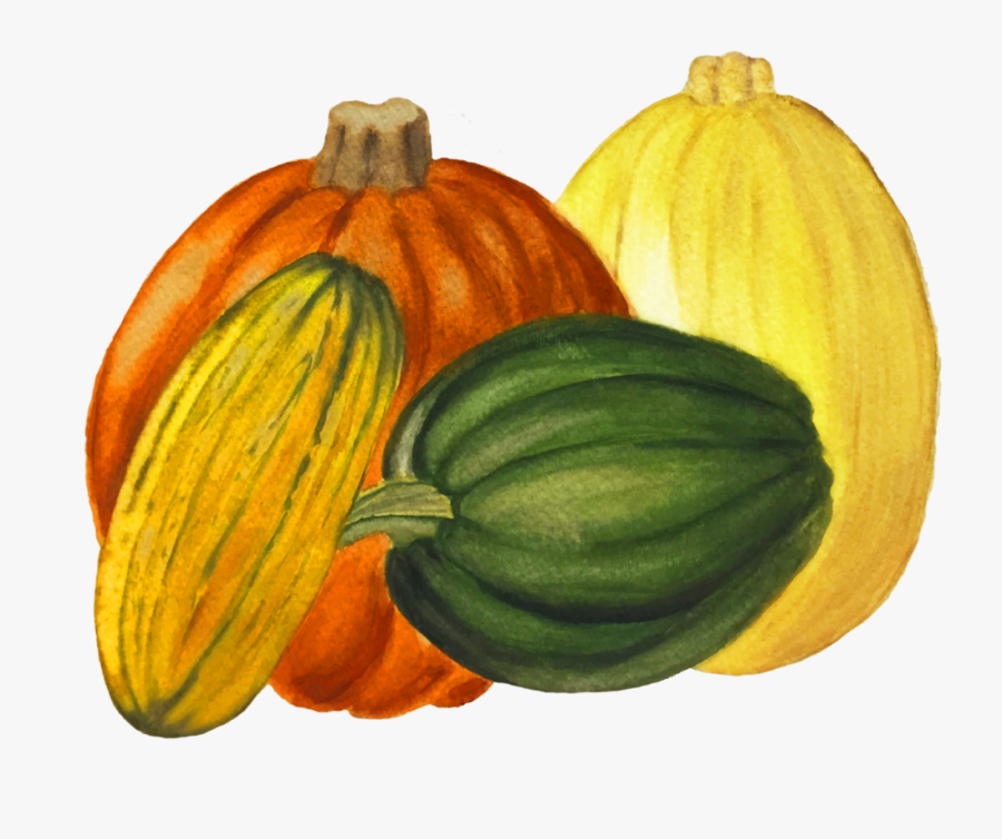Winter Durst Organic Growers - Pumpkin, Transparent Clipart