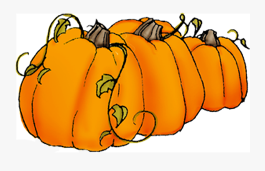 Pumpkin Clipart Vine - Transparent Background Pumpkins Clipart, Transparent Clipart