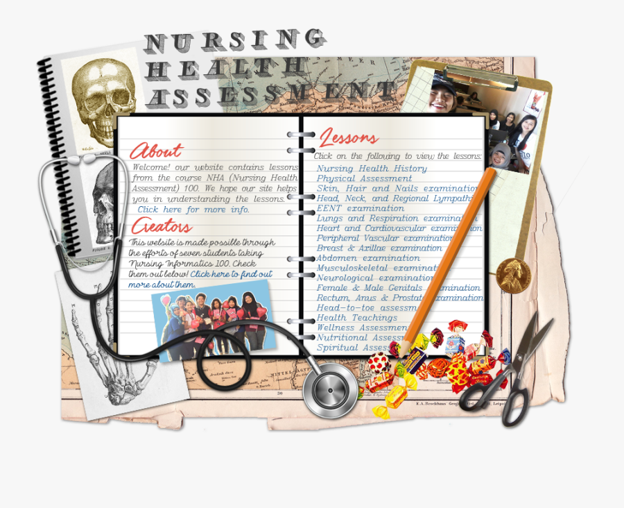 History Nursing Health Assessment, Transparent Clipart