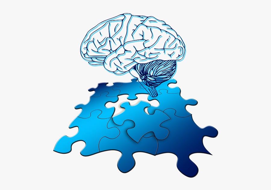 Brain Clipart Metacognition - Scn2a Channel, Transparent Clipart