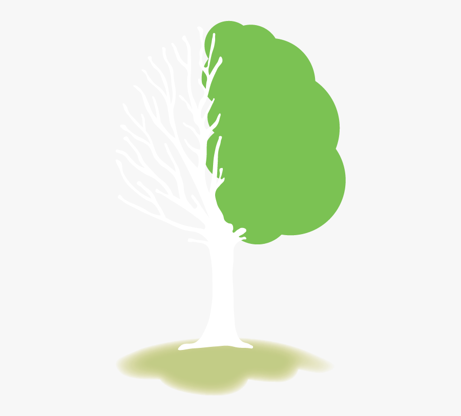 Mind Springs Health Clipart , Png Download - Illustration, Transparent Clipart