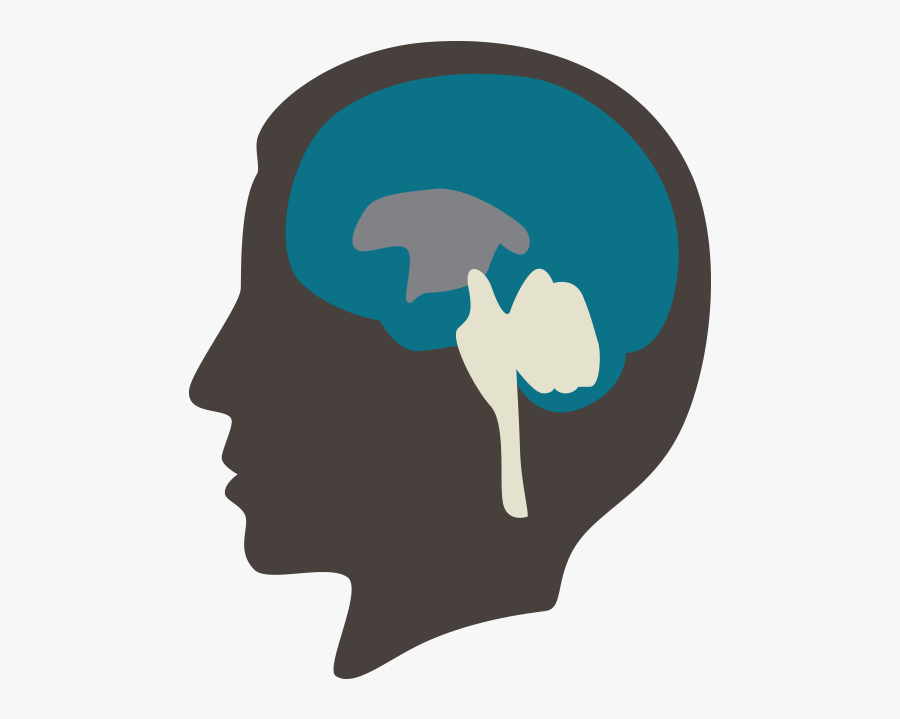 Illustration, Transparent Clipart