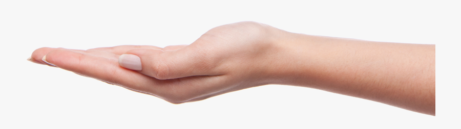 Product Thumb Mind Soul Hand Palm Hands Clipart - Hand Png, Transparent Clipart