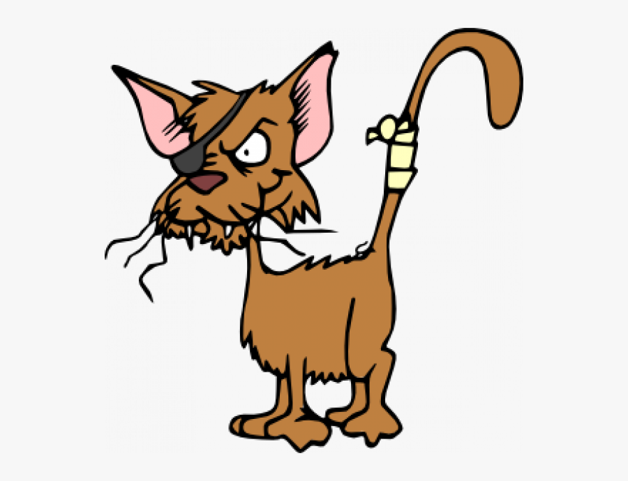 Crazy Cat Clipart Images Transparent Png - One Eyed Cat Cartoon, Transparent Clipart