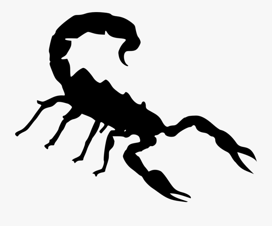 Scorpion Small Clipart 300pixel Size, Free Design - Scorpion Clip Art, Transparent Clipart