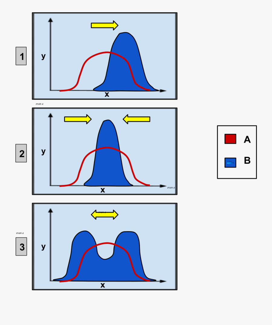 Ejemplo De Seleccion Direccional, Transparent Clipart