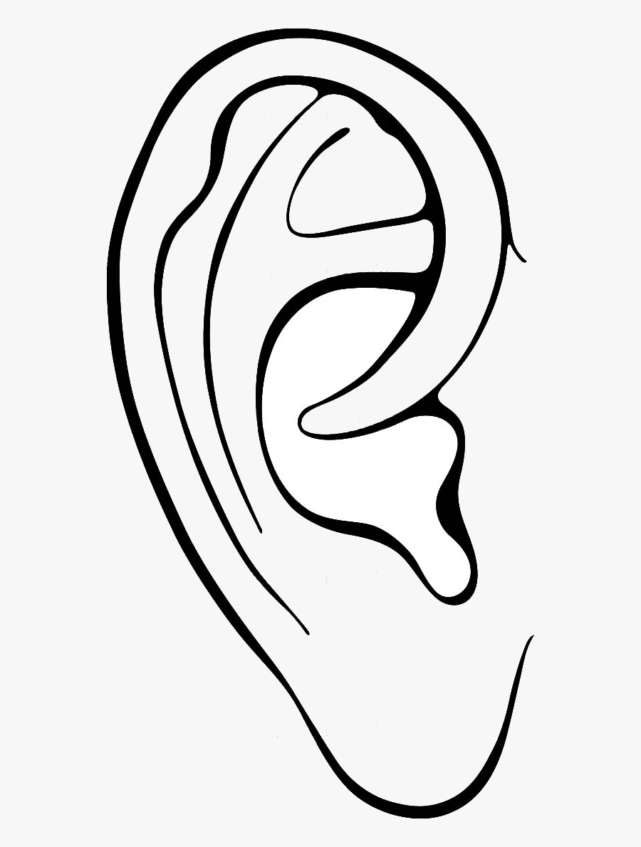Ear Ears Clipart Outline Frames Illustrations Hd Images - Colouring Pic Of Ear, Transparent Clipart
