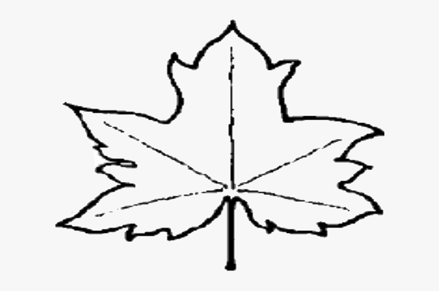 File Leaf Outline Wikipedia Clipart - Outline Images Of Leaf, Transparent Clipart