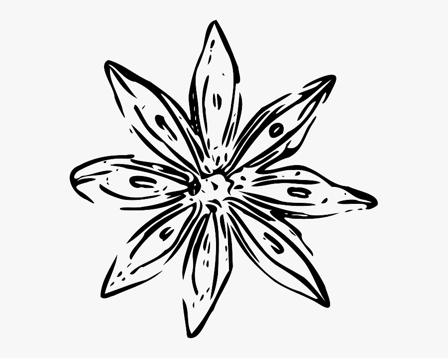 Transparent Leaf Outline Png - White Flower Outline Png , Free