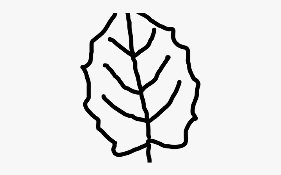 Leaf Outline, Transparent Clipart
