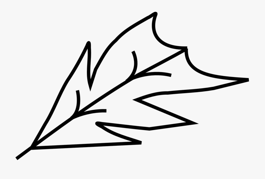 Leaf - Контур На Листо Png, Transparent Clipart