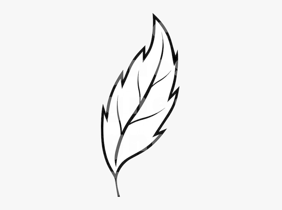 Leaf Outline Collection Of Clipart Free Best On Transparent - Clip Art Leaf Outline, Transparent Clipart