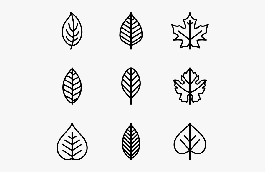 Clip Art Fall Leaf Outline - Black And White Png Leaf Icon , Free