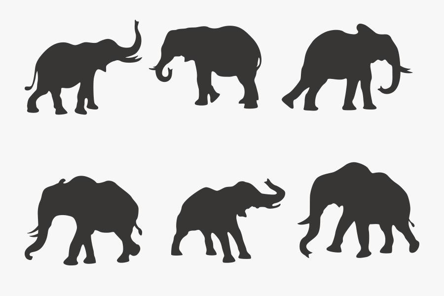 African Elephant Silhouette Indian Elephant - Elephant, Transparent Clipart