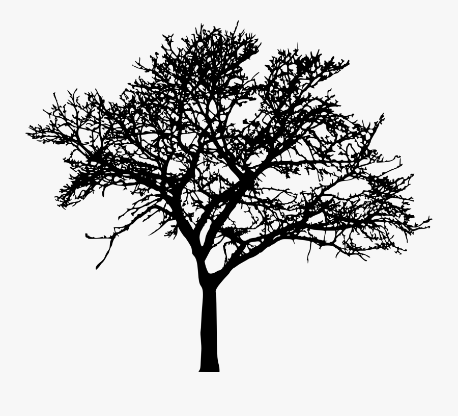 45 Tree Silhouettes Png Transparent Background - Girl On Tree Swing Silhouette, Transparent Clipart