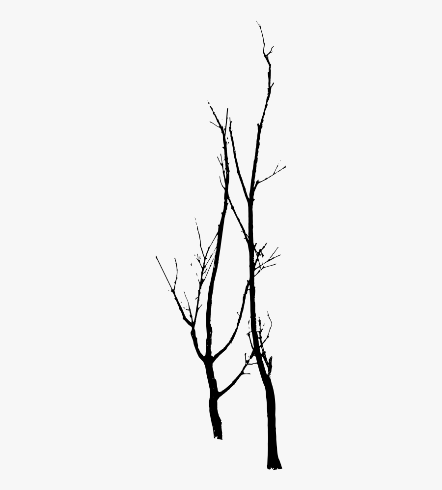 Clipart Trees Vector - Twig, Transparent Clipart