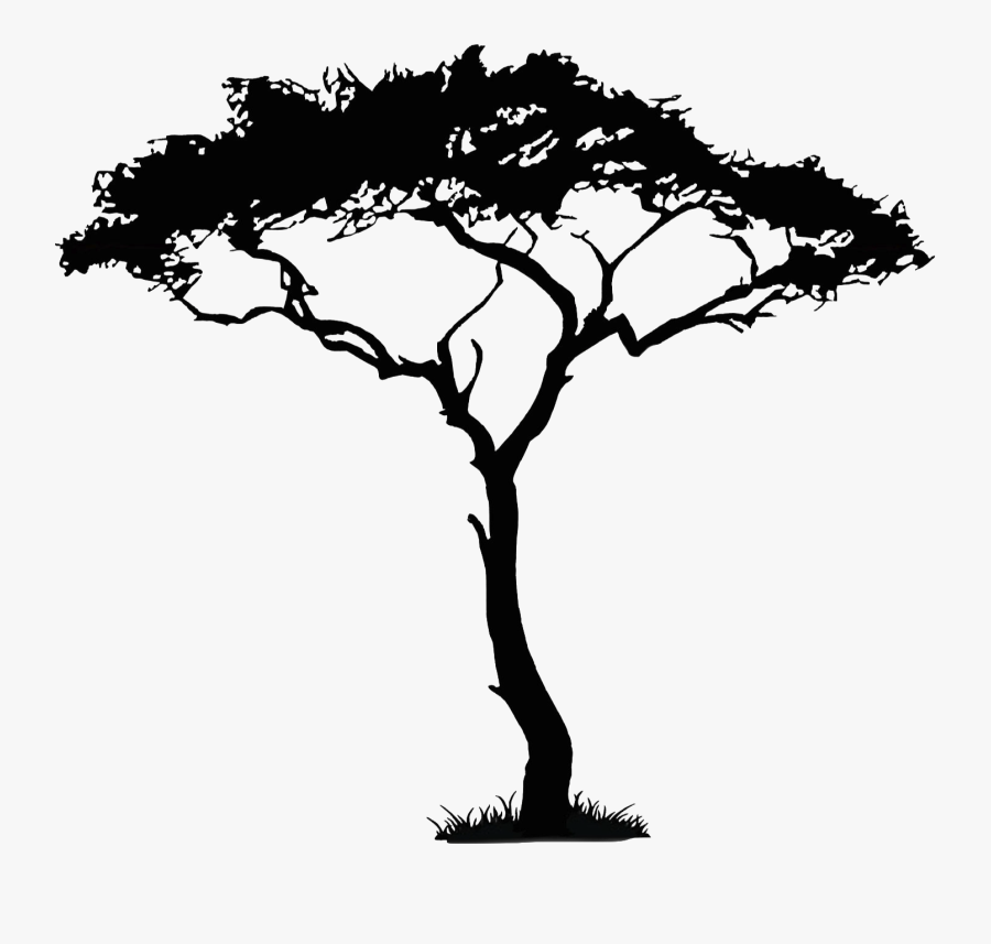 Transparent Bare Trees Png - South African Tree Drawing, Transparent Clipart