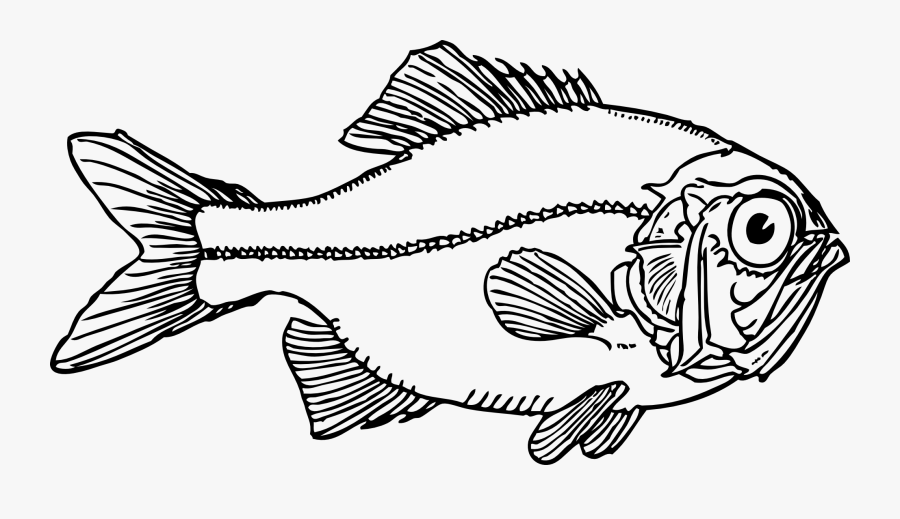 Ugly Fish Black White Line Art Coloring Book - Tail Of Fish Clipart Black And White, Transparent Clipart