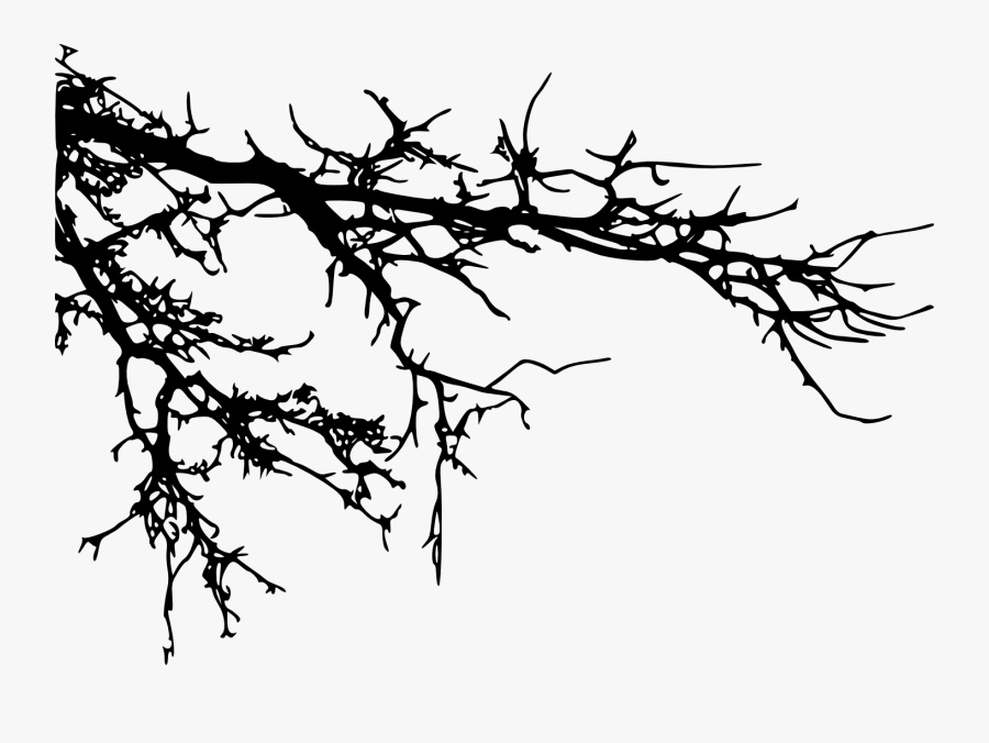 Branch Tree Silhouette Clip Art - Tree Branches Silhouette Png, Transparent Clipart