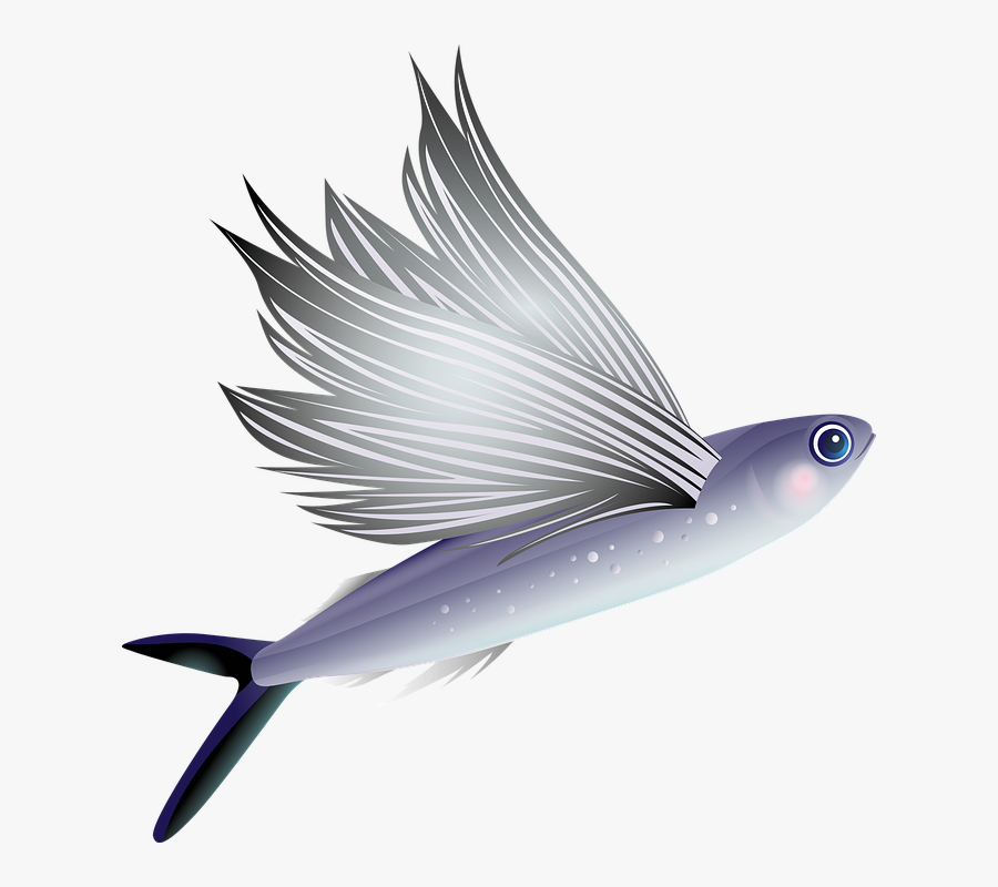Fish Clipart Flying - Flying Fish No Background, Transparent Clipart