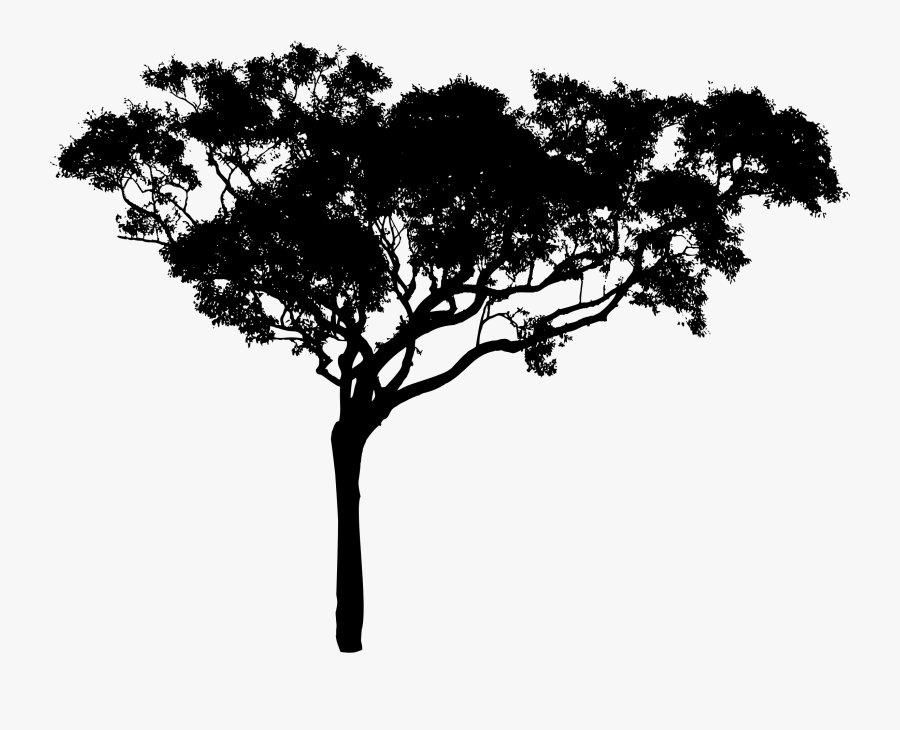 Tall Tree Silhouette, Transparent Clipart