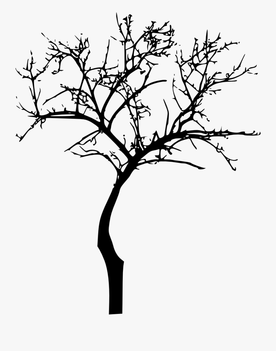 Clip Art Png Transparent Vol - Transparent Dead Tree Silhouette, Transparent Clipart