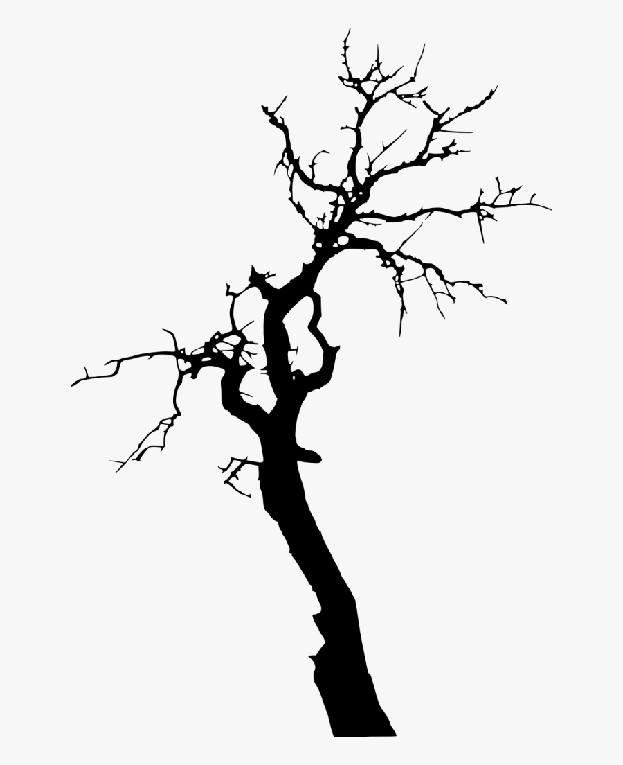 Dead Tree Clipart Skinny Tree - Tree Silhouette No Background, Transparent Clipart