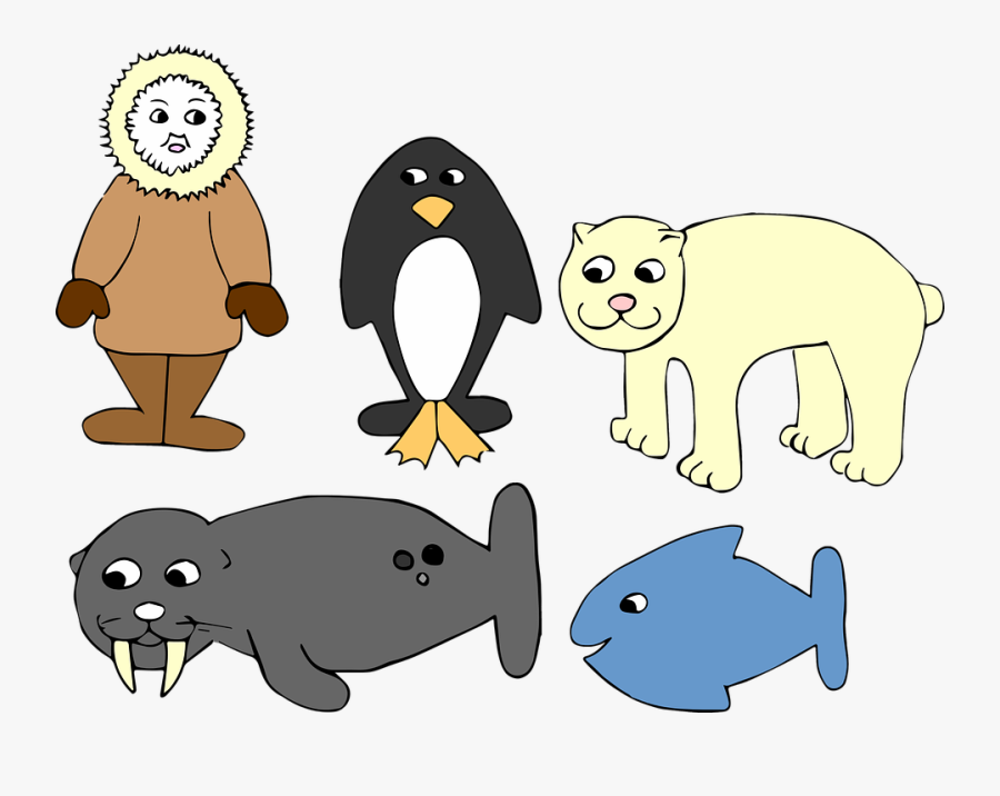 Antarctica, Winter, Eskimo, Penguin, Fish, Seal, Bear - Eskimo Penguin, Transparent Clipart