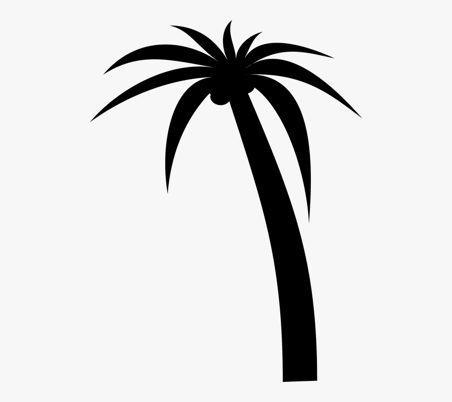 Trees Vector Graphics Pixabay Download Free Images - Palm Tree Clip Art Blue, Transparent Clipart