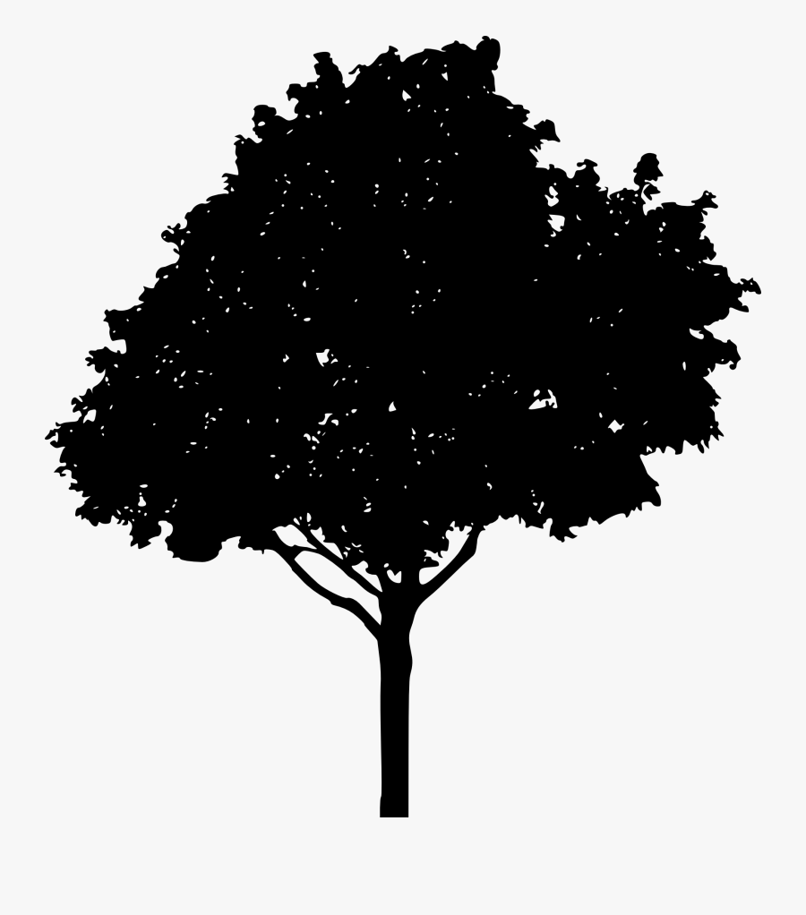 Transparent Treeline Silhouette Png - Maple Tree Silhouette, Transparent Clipart