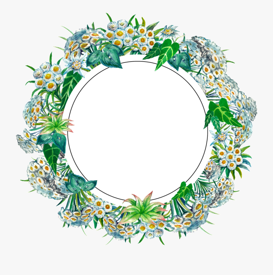 Transparent Round Clipart - Circle, Transparent Clipart