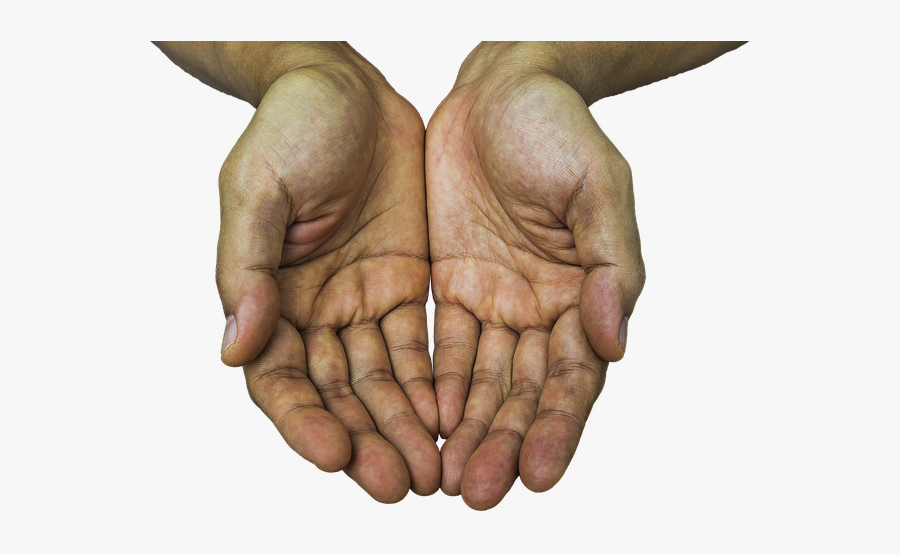 Open Hands Png - Mole On Venus Girdle, Transparent Clipart