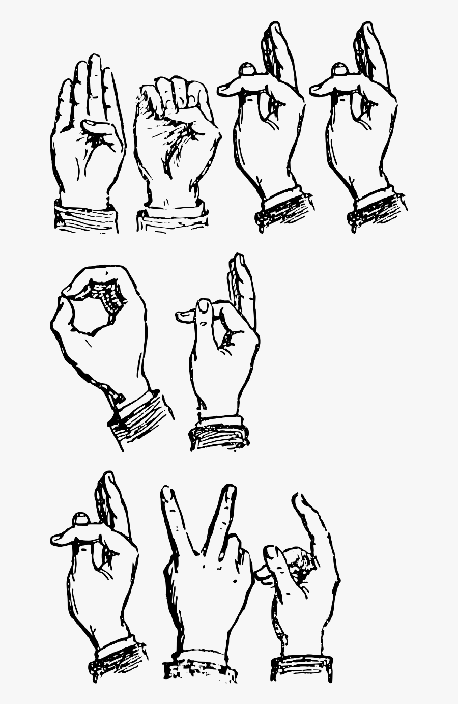 Cartoon, Transparent Clipart