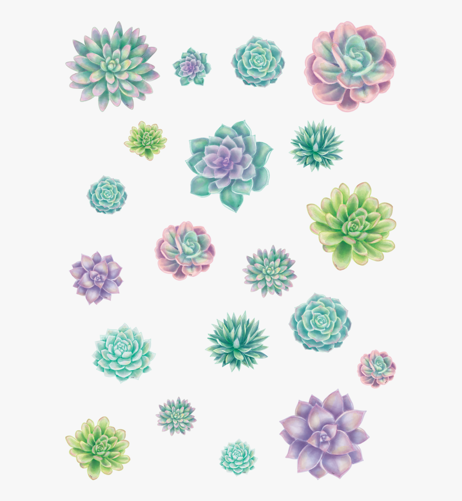 Rustic Bloom Succulent Accents - Rustic Bloom, Transparent Clipart