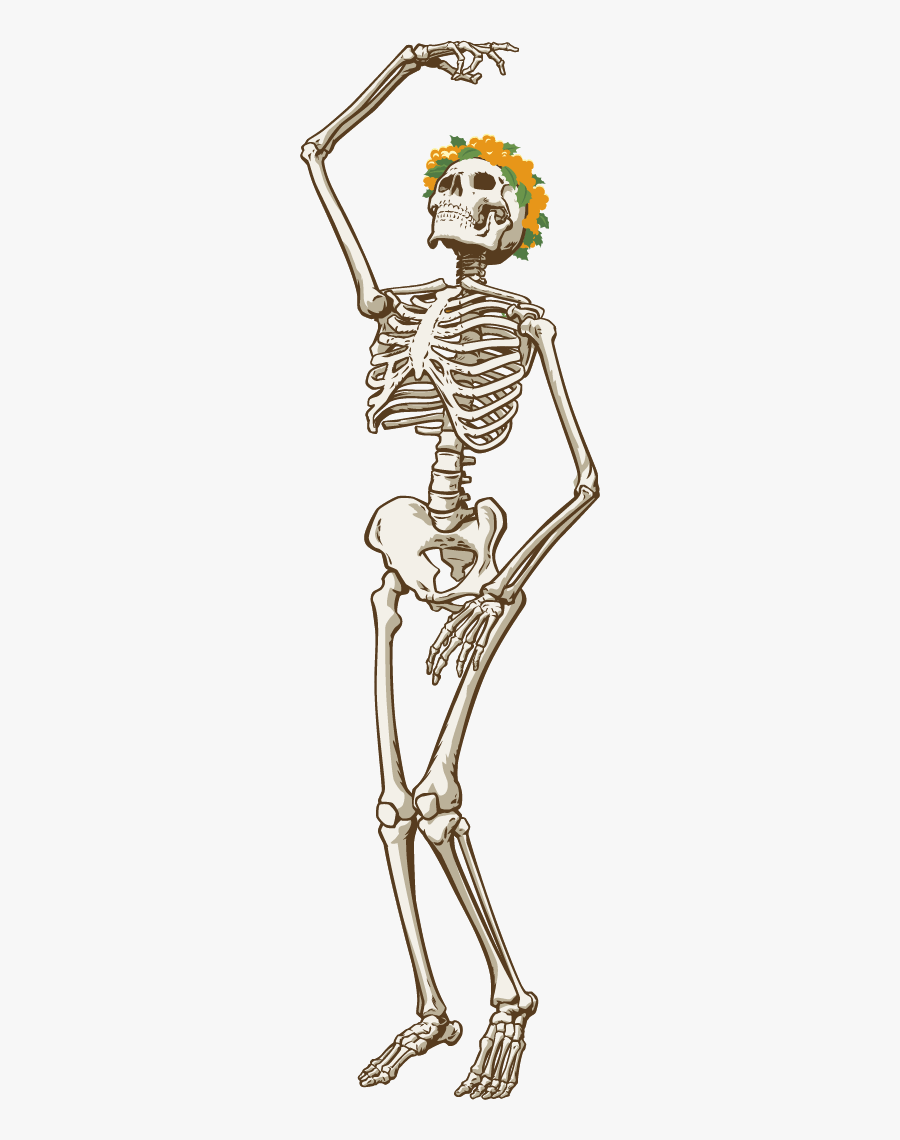 The Dead Guitar Series - Drawing Grateful Dead Skeleton, Transparent Clipart