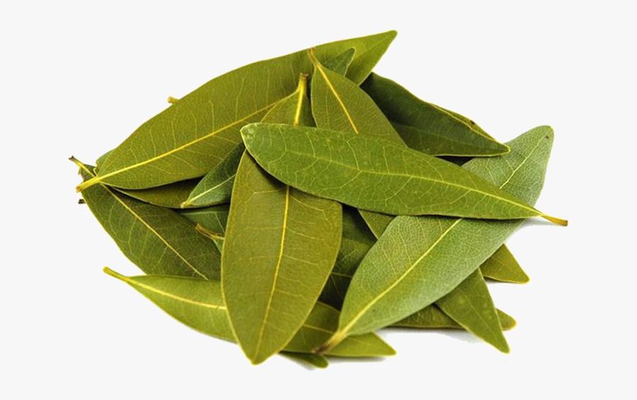 Transparent Pile Of Leaves Clipart - Plants That Repel Rats, Transparent Clipart