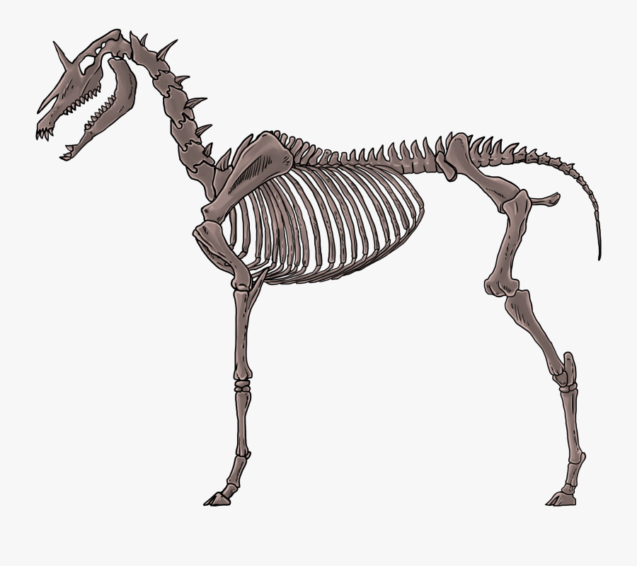 Clip Art Press A Devlog Animating - Skeleton, Transparent Clipart