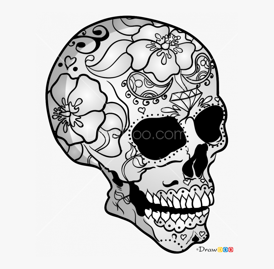 Transparent Skeletons Clipart - Skeletons To Draw, Transparent Clipart