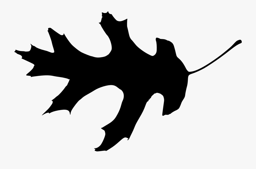 Vines Clipart Eucalyptus, Transparent Clipart